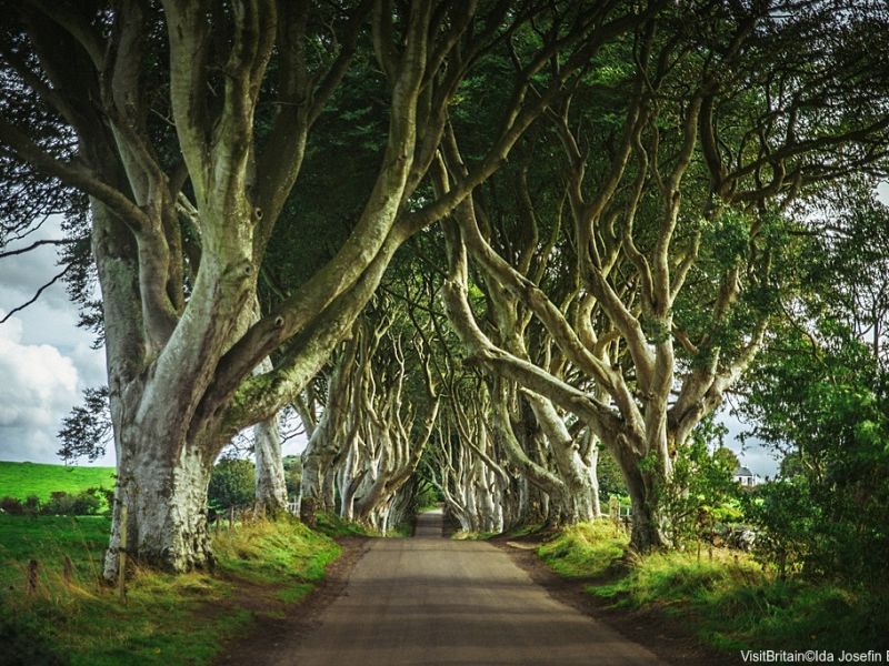 12 séries para assistir sobre o Reino Unido