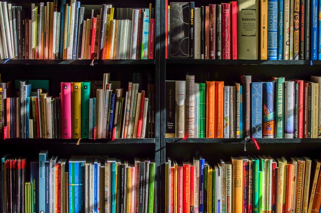 estante livros