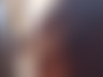 DMSO na saúde dos cavalos