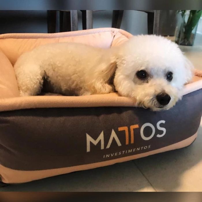 Locação de temporada inclui camas para pets entre facilidades para hóspedes