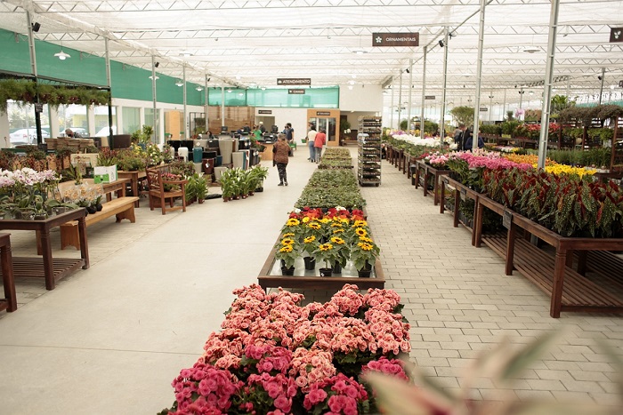 Mercado de flores espera Dia das Mães com altas nas vendas presenciais