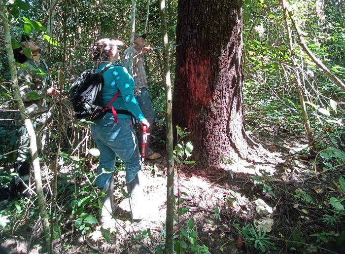 Tecpar lança programa que certifica projetos e empresas para redução de carbono

