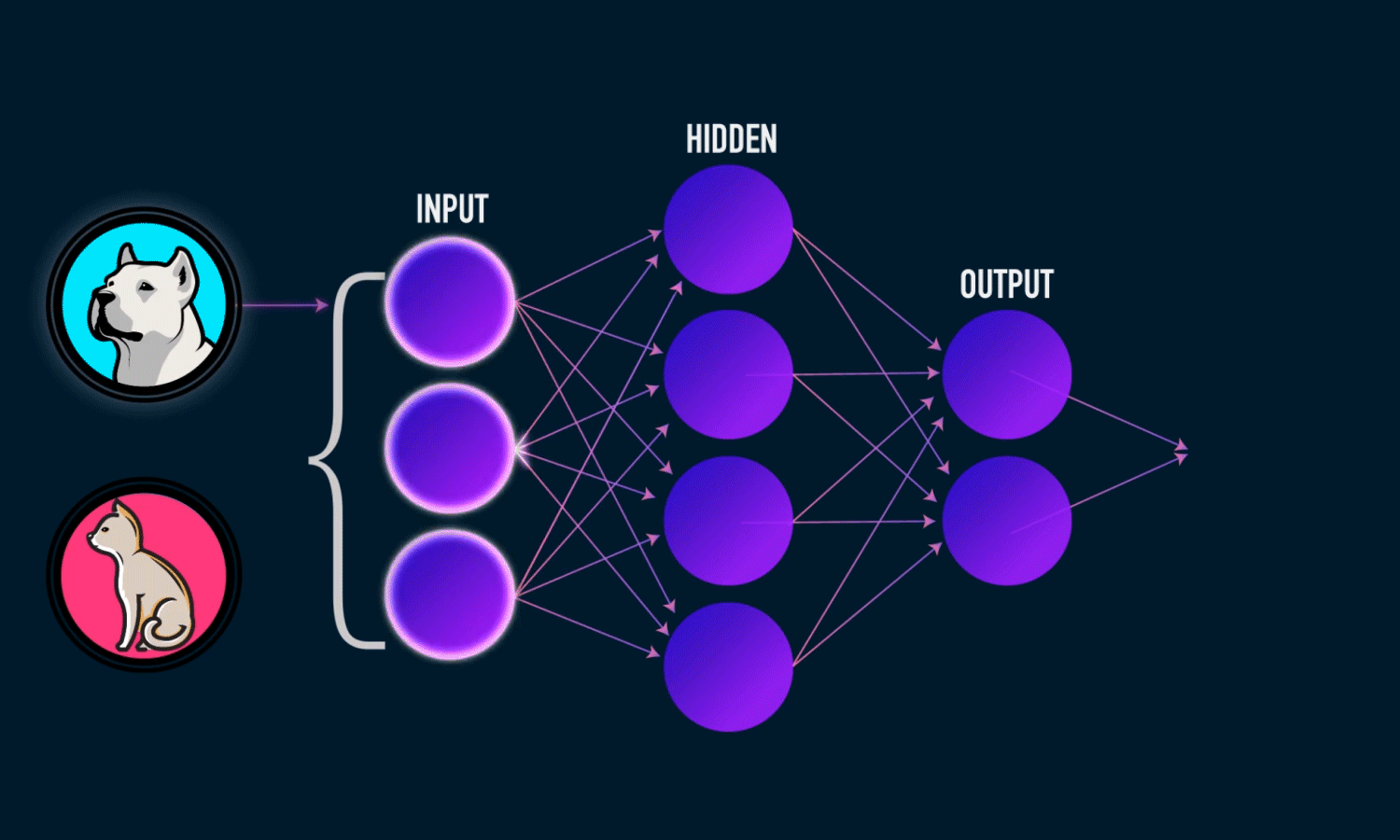 Example of neural network