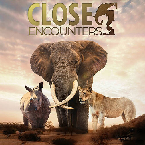 Close Encounters: Larger than Life Virtual Safari