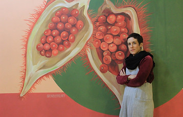 mral botânico urucum