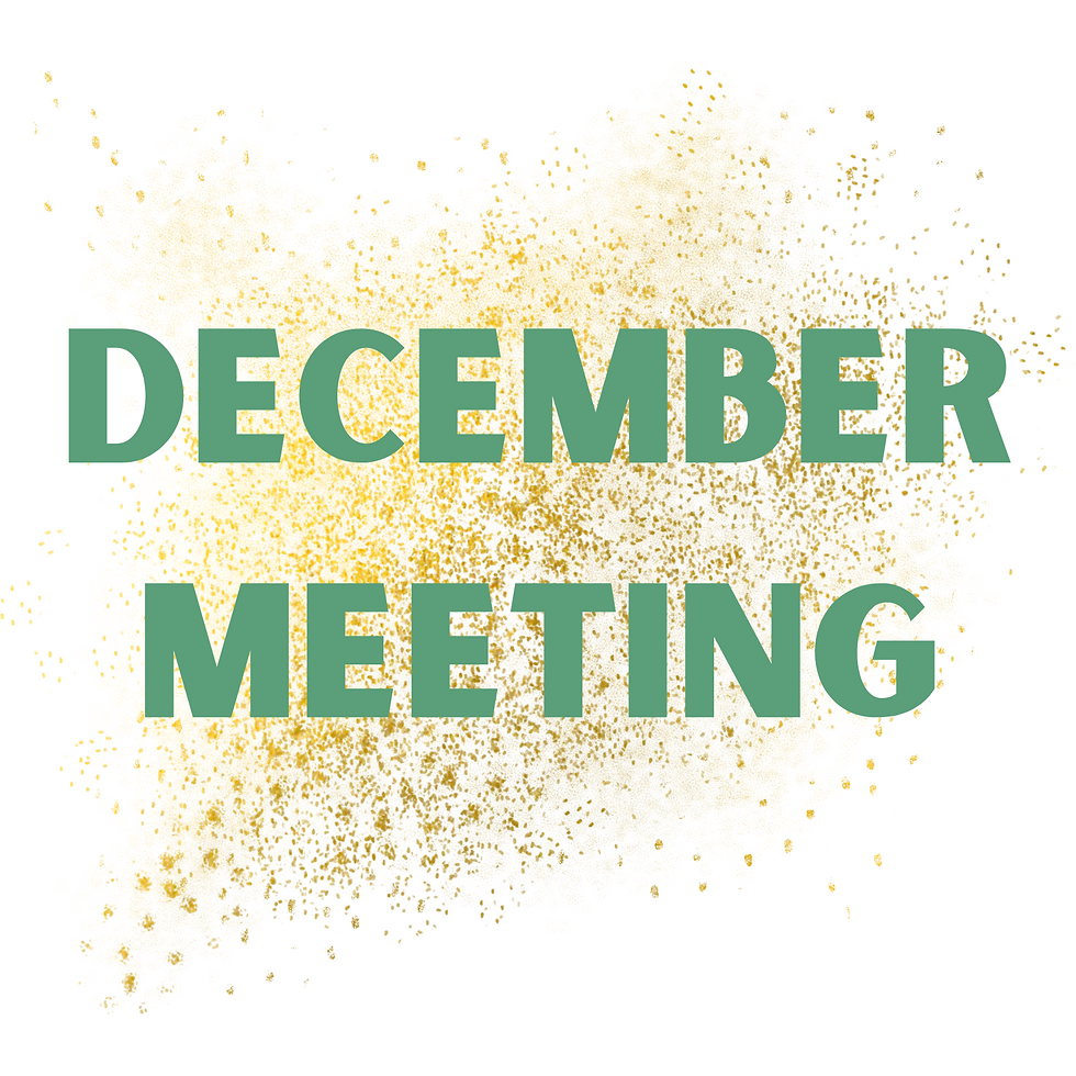 Monthly NOW Meeting