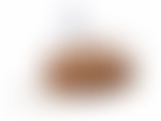 にっくきGについての疑問