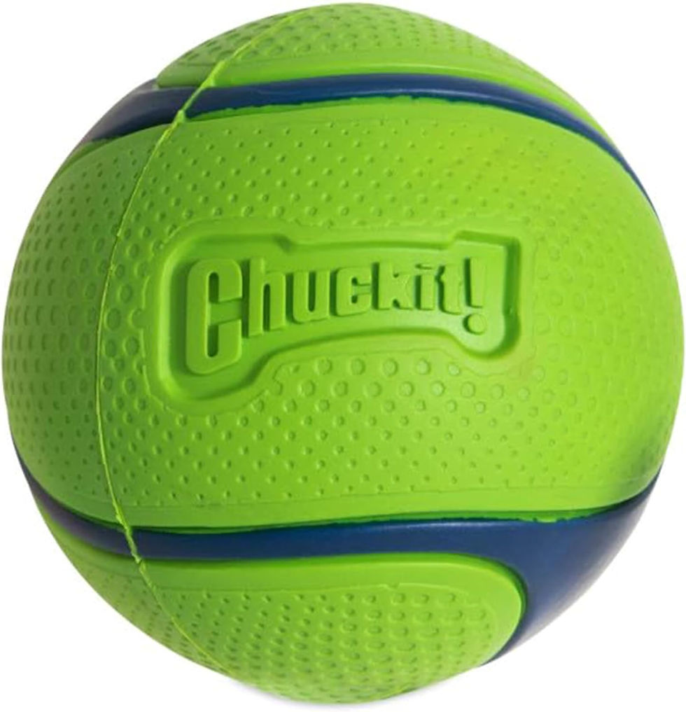 Thumbnail: Chuckit! Sniff Duo Scented Fetch Balls - Peanut Butter & Bacon (Medium 2-Pack)