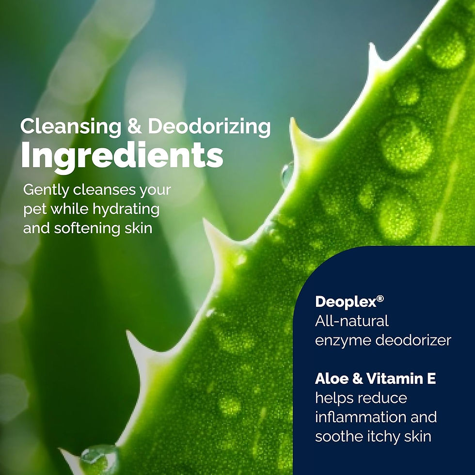 Thumbnail: Glandex Cleansing & Deodorizing Anal Gland Wipes - 75ct