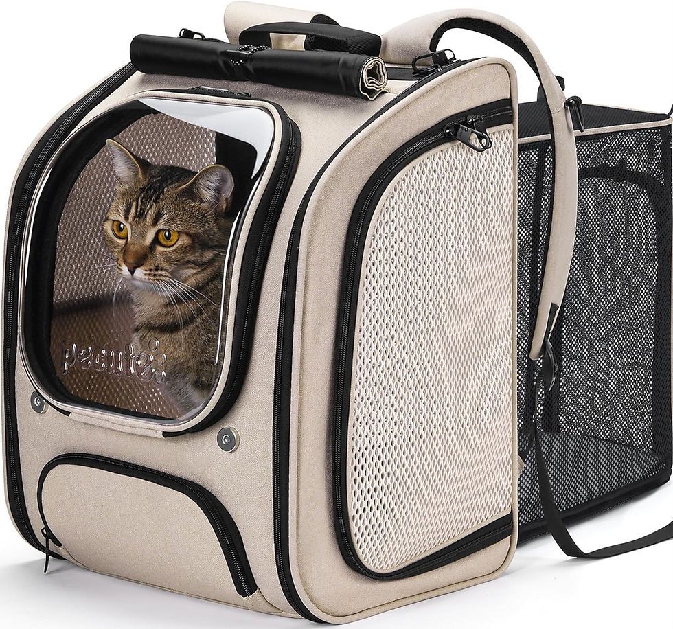 Thumbnail: Pecute Breathable Cat Backpack with Sun Blinds - Expandable Large Space (Green)