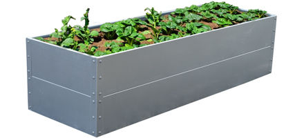 narrow-raised-beds.jpg