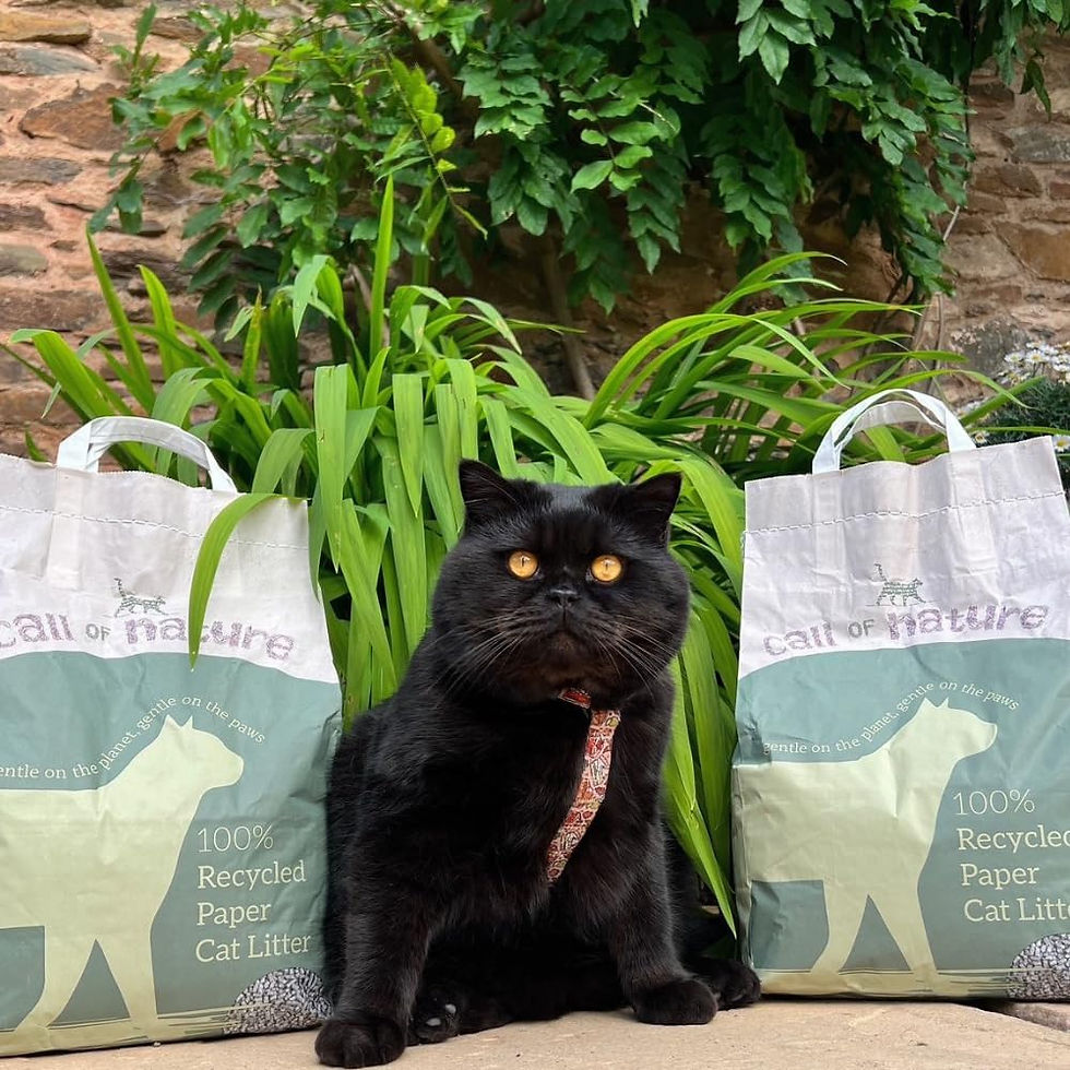Thumbnail: Call of Nature Recycled Paper Cat Litter Pellets - Biodegradable (28 Litre)