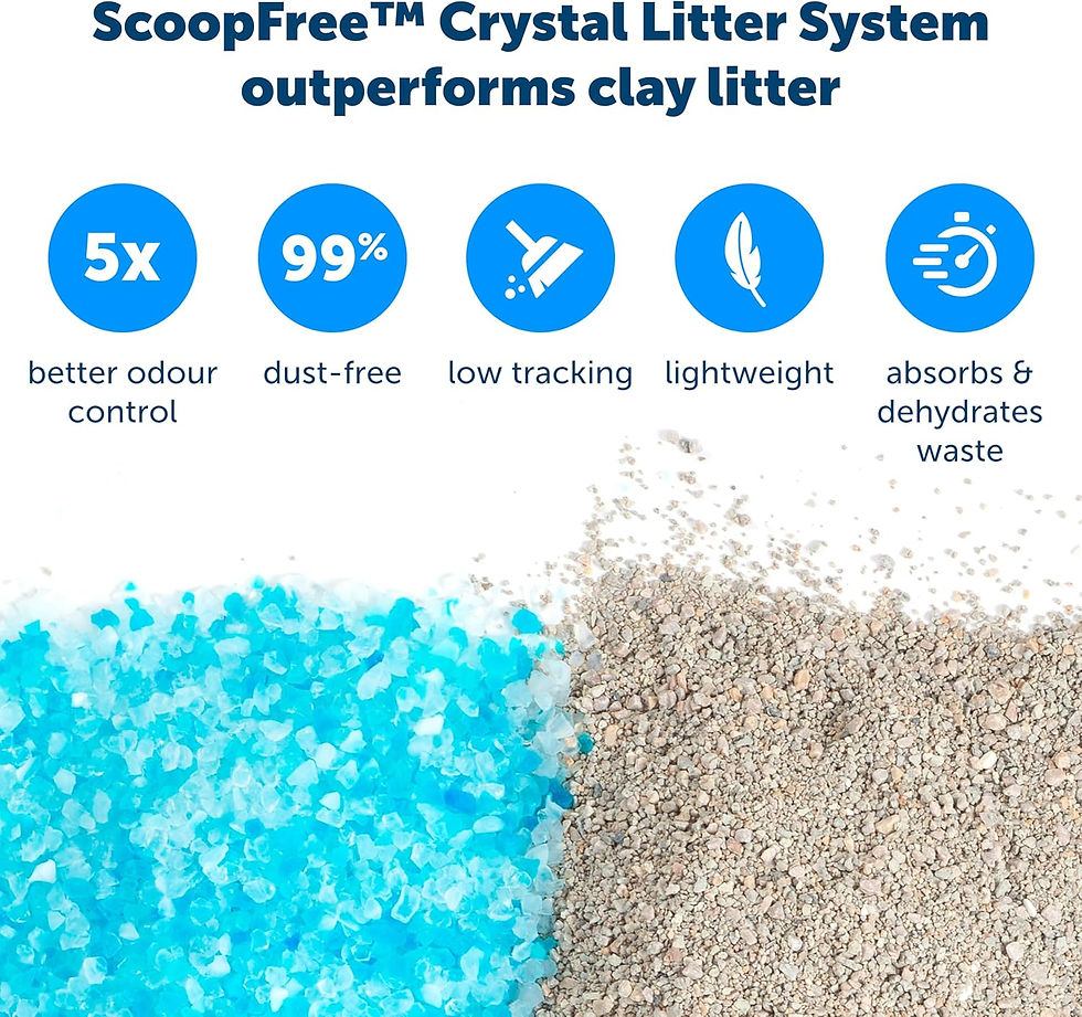 Thumbnail: PetSafe ScoopFree Blue Crystal Litter Replacement Tray - 1 Pack