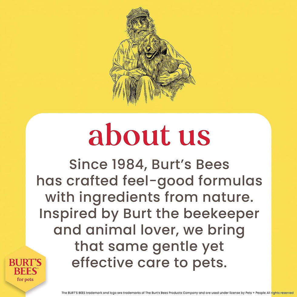 Thumbnail: Burt's Bees Kitten Tearless Shampoo with Buttermilk - 10 fl oz