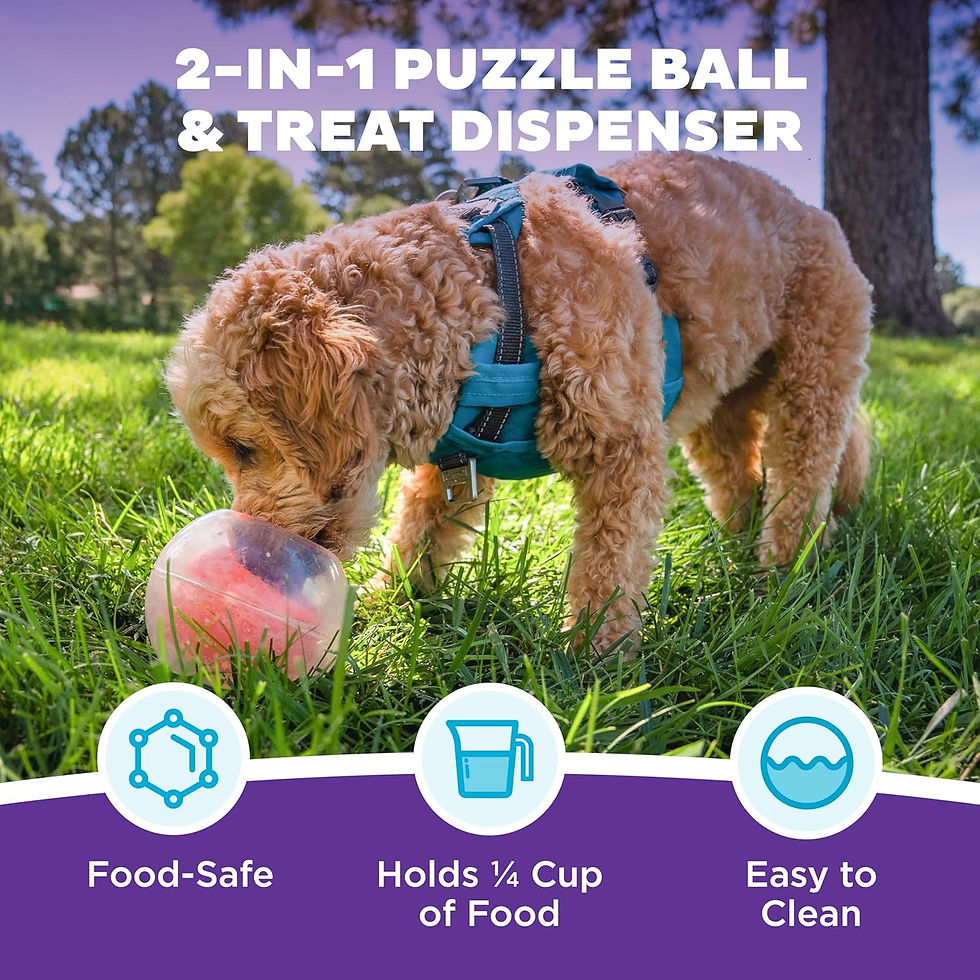 Thumbnail: Outward Hound Nina Ottosson Level 2 Dog Puzzle - Intermediate Enrichment