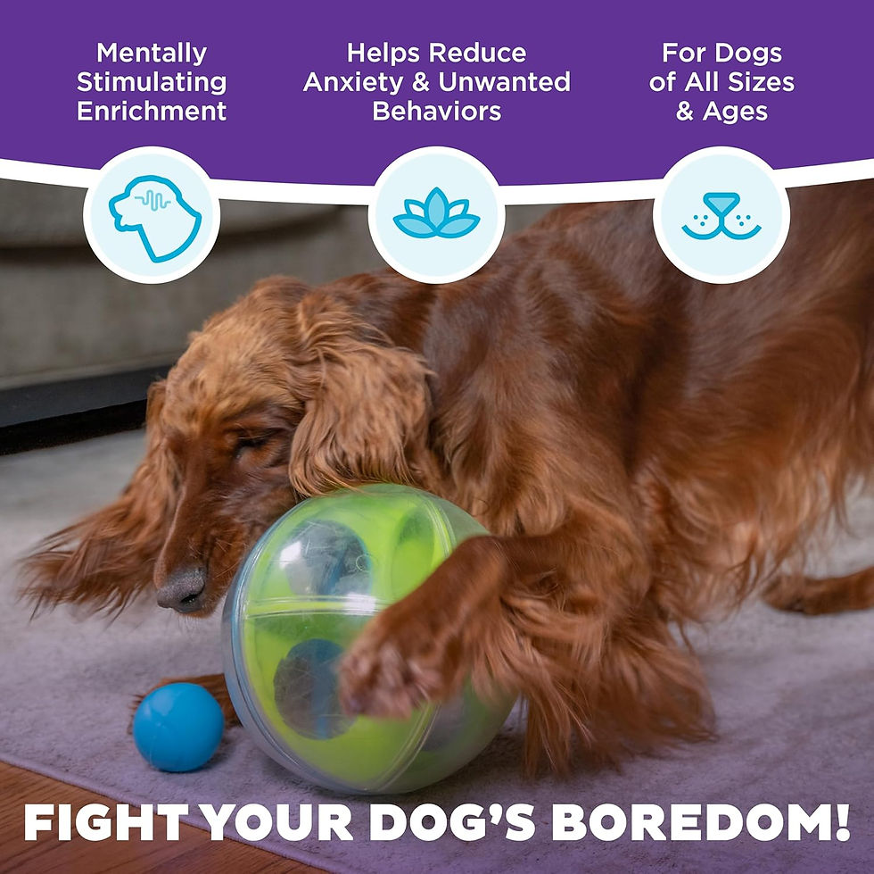 Thumbnail: Outward Hound Nina Ottosson Level 2 Dog Puzzle - Intermediate Enrichment