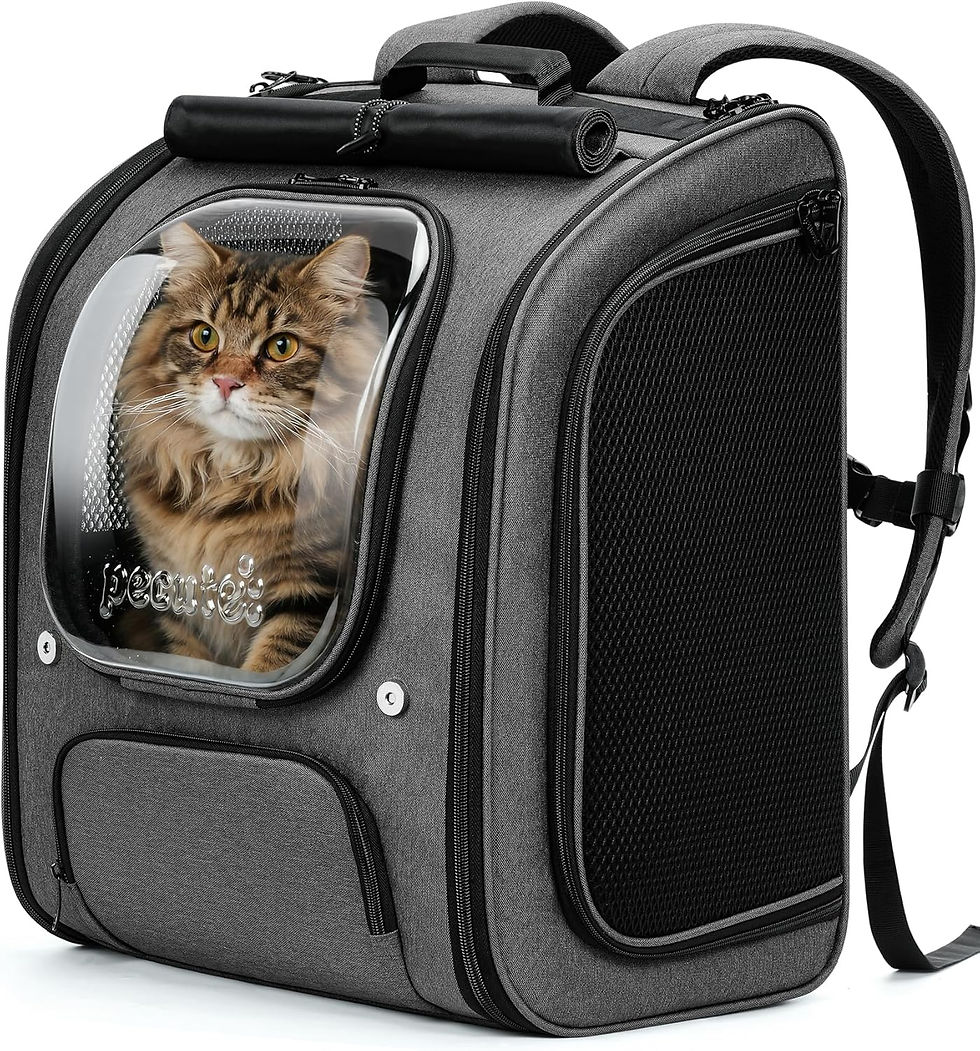 Thumbnail: Pecute Breathable Cat Backpack with Sun Blinds - Expandable Large Space (Green)