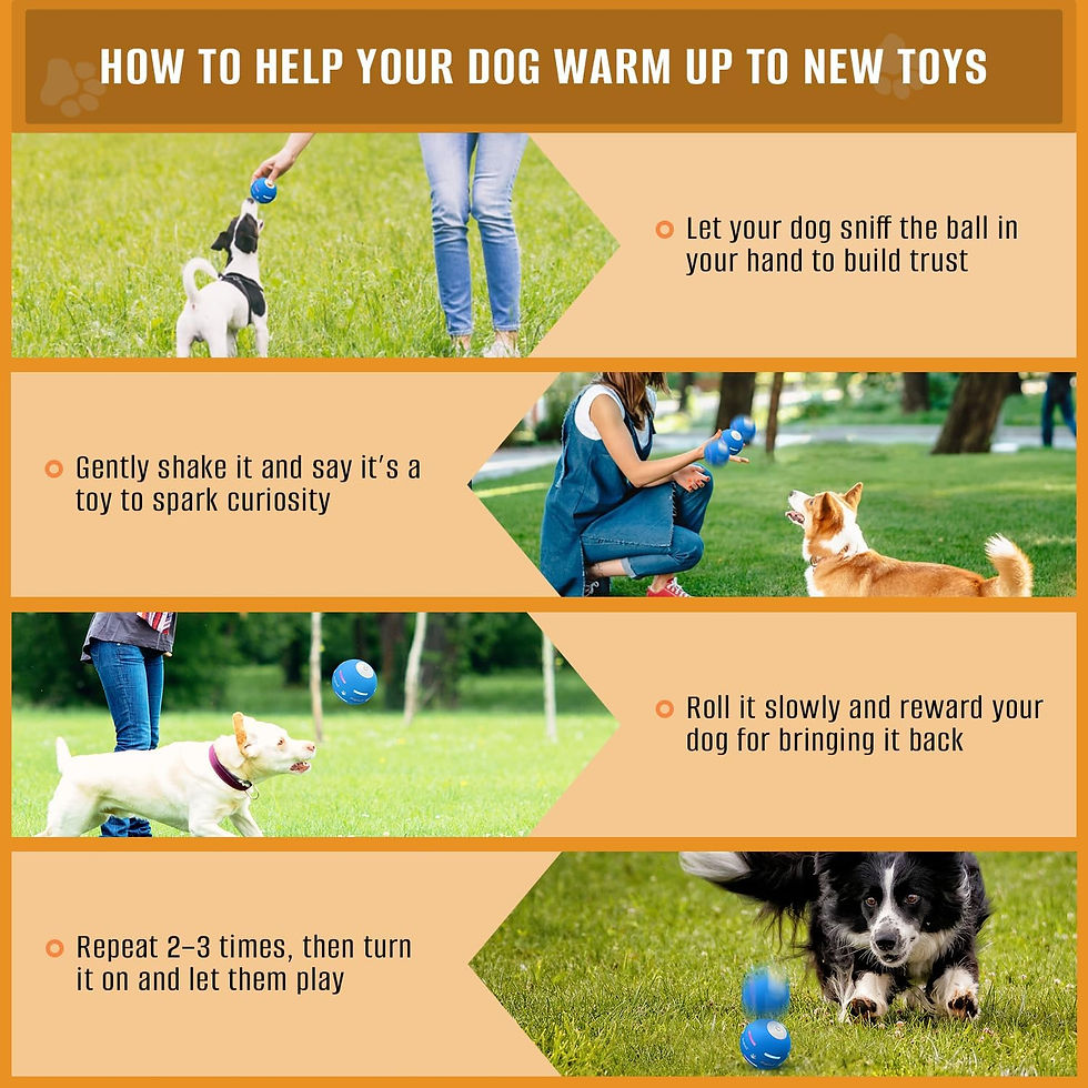 Thumbnail: PetDroid Motion-Activated Automatic Rolling Ball - Interactive USB Rechargeable
