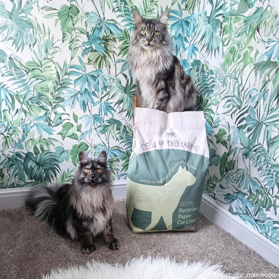 Thumbnail: Call of Nature Recycled Paper Cat Litter Pellets - Biodegradable (28 Litre)