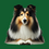 Thumbnail: Adorable Sheltie 8