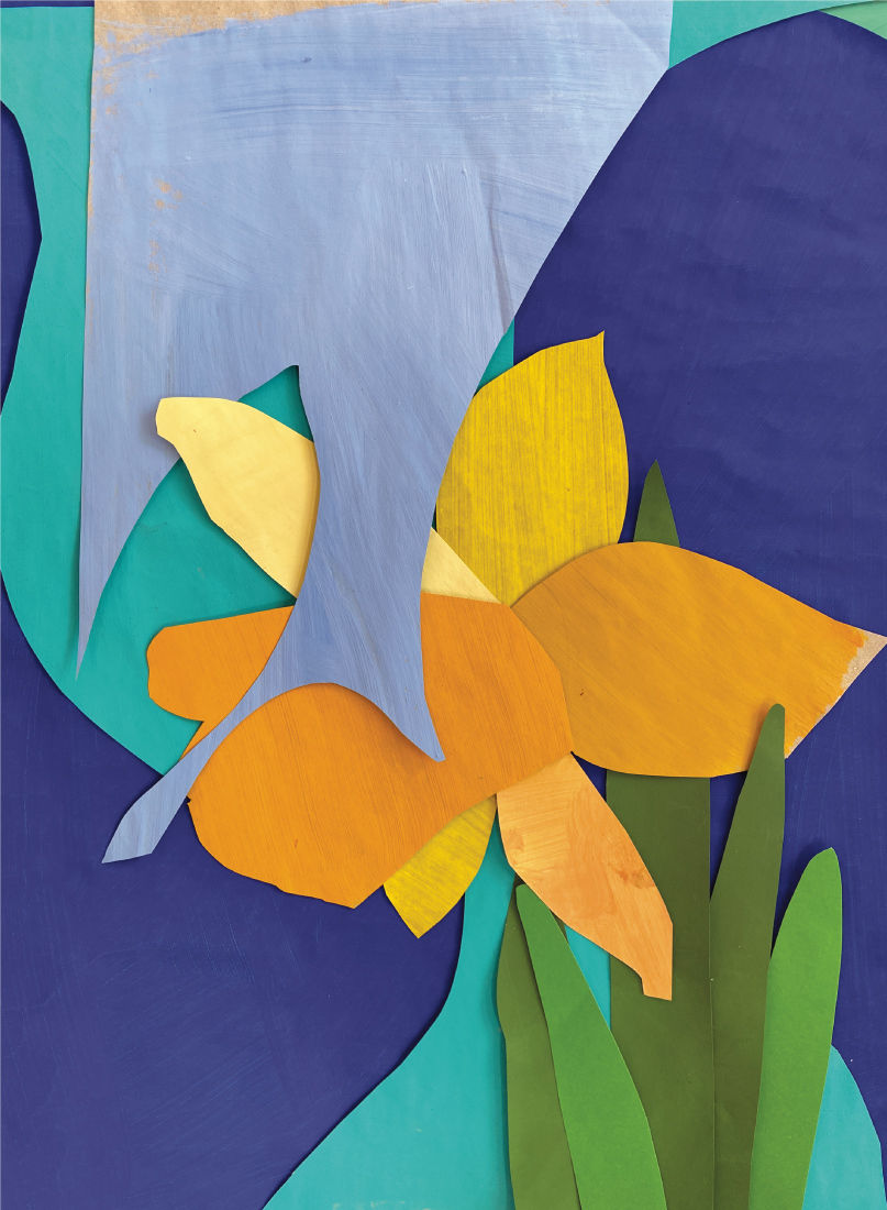 DAFFODIL DREAMS