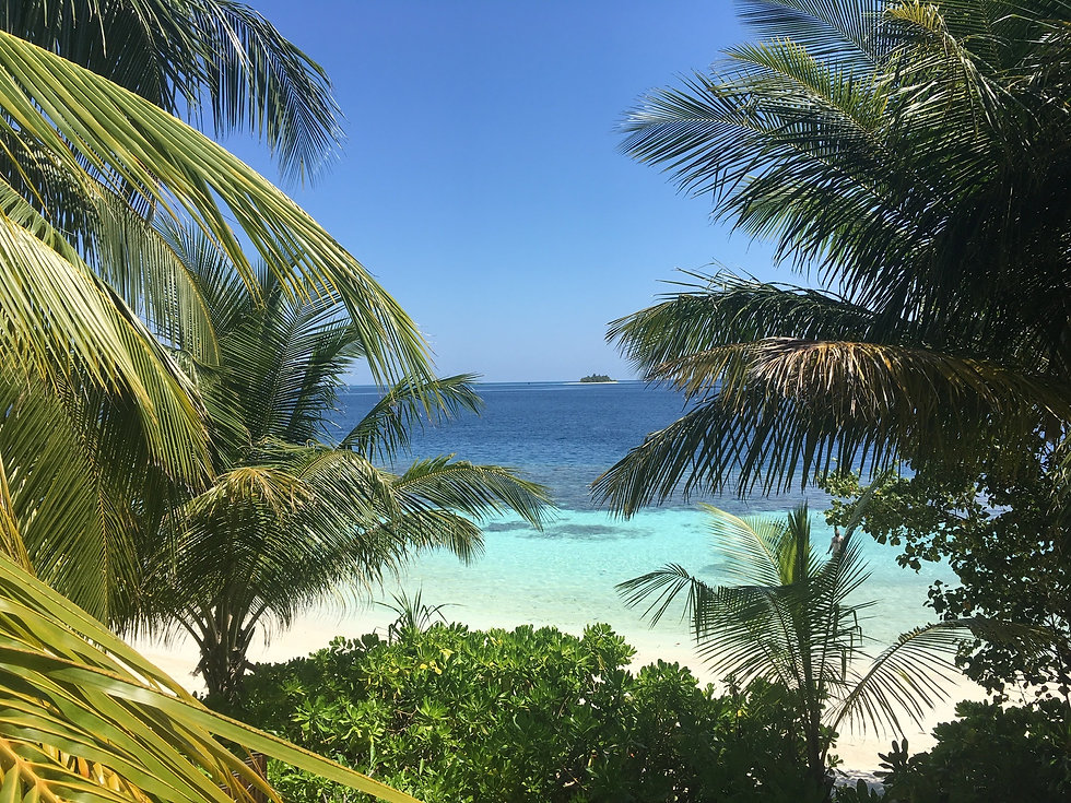 Adventure Travel with Girl Power Swim, The W Hotel, Maldives