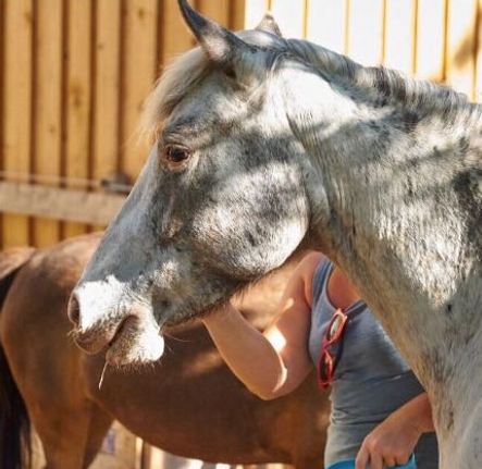Bildschirmfoto 2022-09-12 um 16.18.32.png