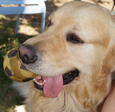 Bildschirmfoto 2022-09-12 um 16.19_edited.jpg