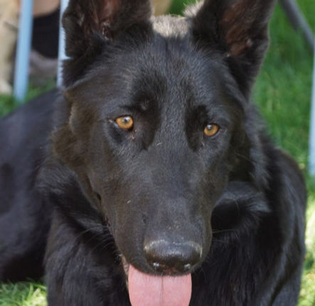 Bildschirmfoto 2022-09-12 um 16.19_edited.jpg