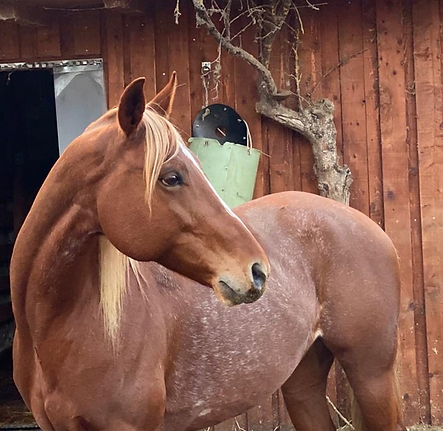 Bildschirmfoto 2022-09-12 um 16.17.41.png