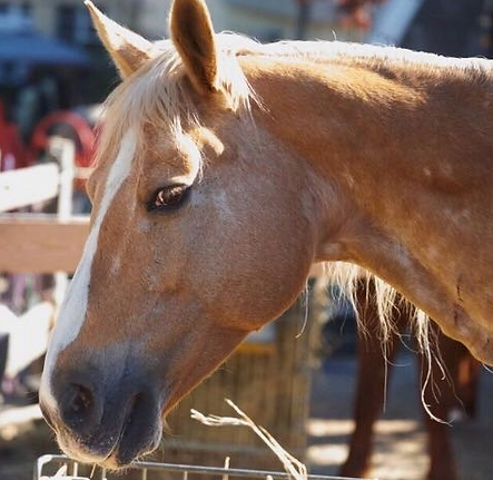 Bildschirmfoto 2022-09-12 um 16.18.53.png
