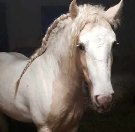 Bildschirmfoto 2022-09-12 um 16.13.33.png