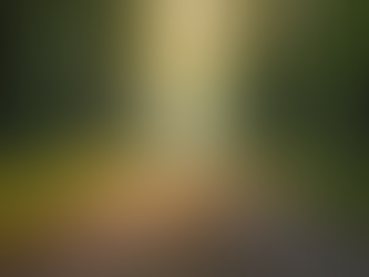 Share Your Journey: Join Our Healing Community Forum