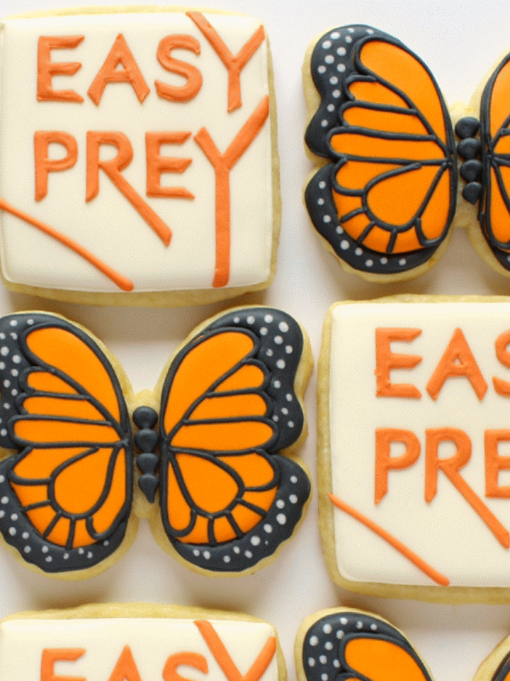 Easy Prey Launch!