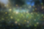 fireflies great smoky mountains.jpeg