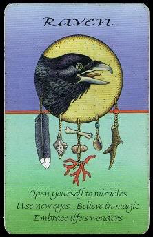 The Raven card