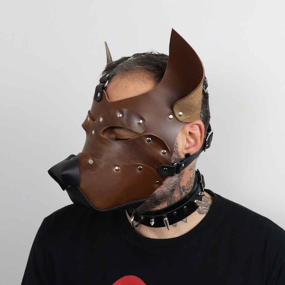 Thumbnail: Leather Dog Mask