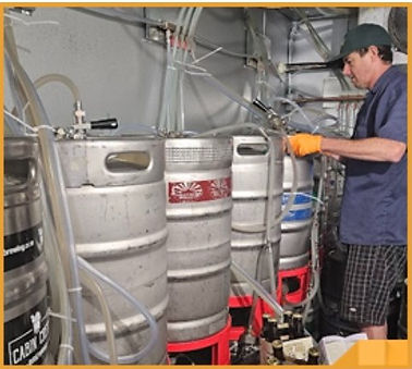 Kegs in the beer cooler