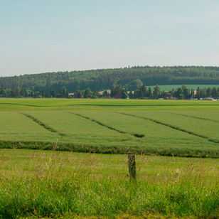 Blick auf Felder