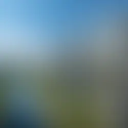 Palm River có gì đáng để chờ đợi?