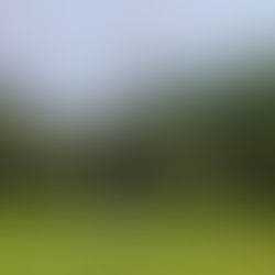 A Day in the Life of a Farmhouse Stay Guest at Dehradun