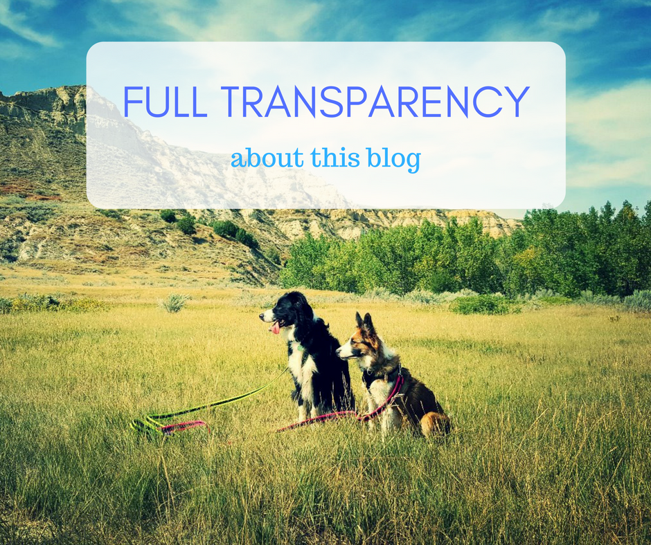 the adventure dog blog