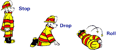 fd_stopdroproll02.gif