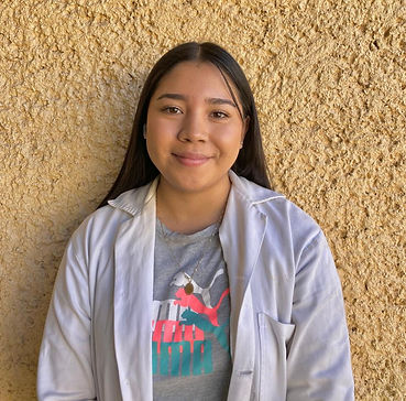 Imagen de WhatsApp 2024-11-26 a las 13.10_edited.jpg