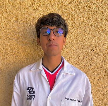 Imagen de WhatsApp 2024-11-26 a las 13.11.27_22e28865.jpg