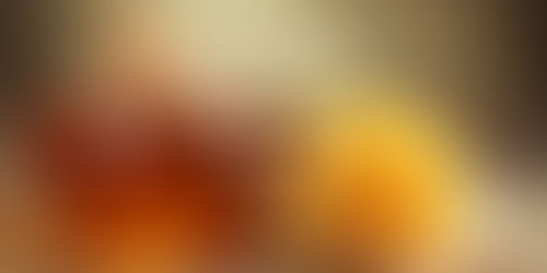 Te contamos las propiedades de la miel de abeja