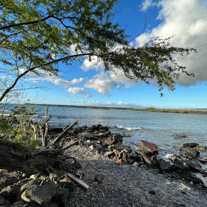 Thumbnail: Beach Permit