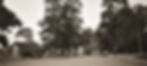 Dai-Nature050_InPixio.jpg