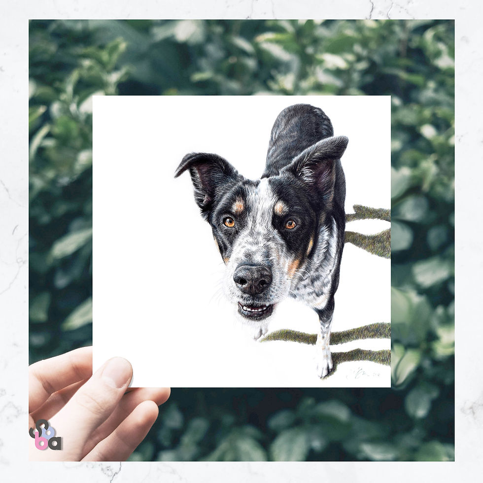 Thumbnail: Toby - Greeting Card