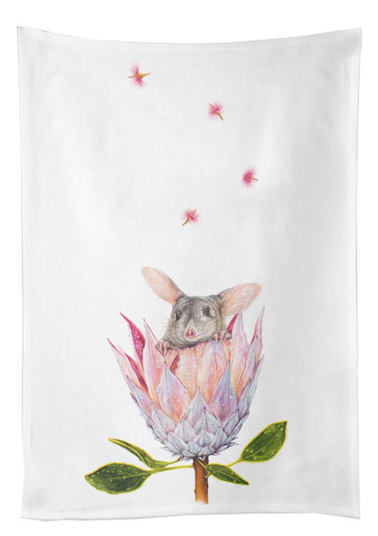 Bilby on a Protea Flower - Tea Towel